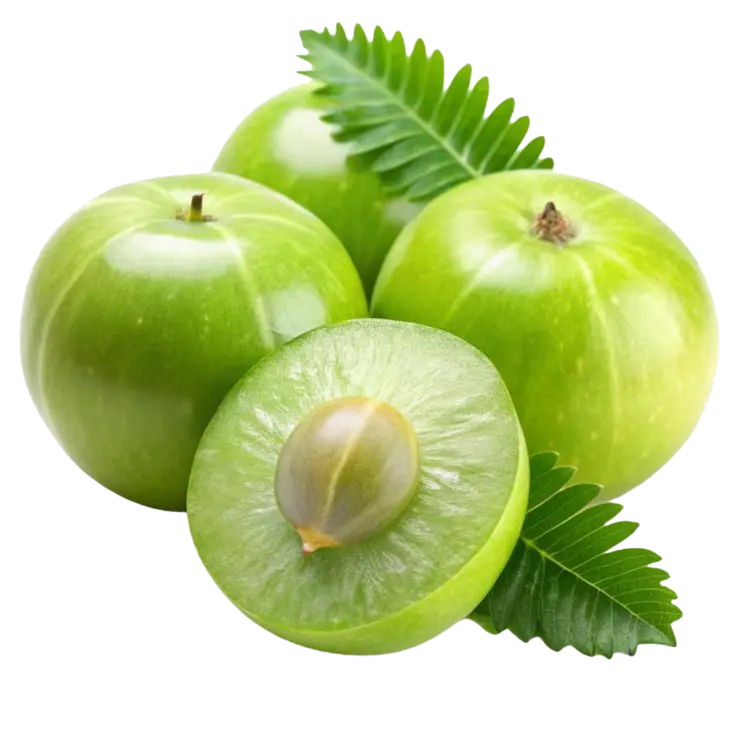 Amla