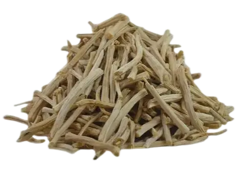 Shatavari