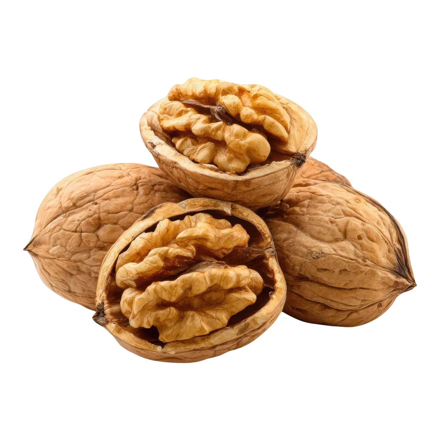 Walnut